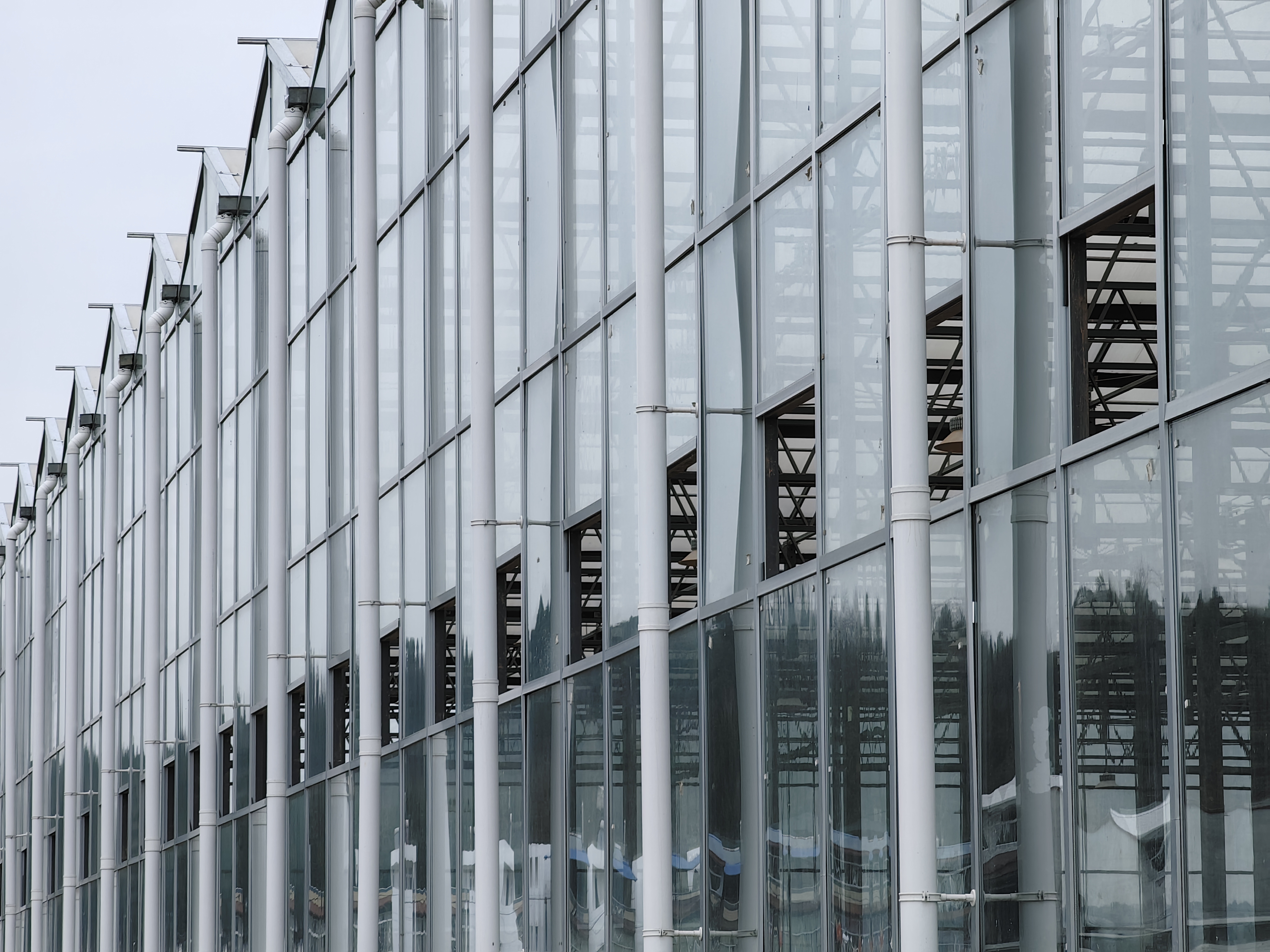 greenhouse