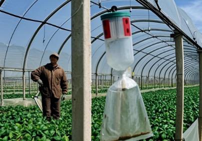 greenhouse