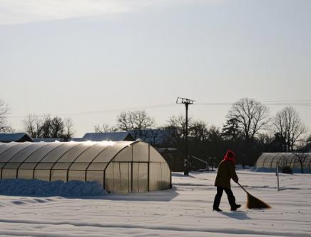 greenhouse