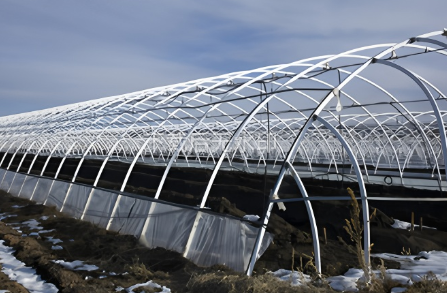 greenhouse