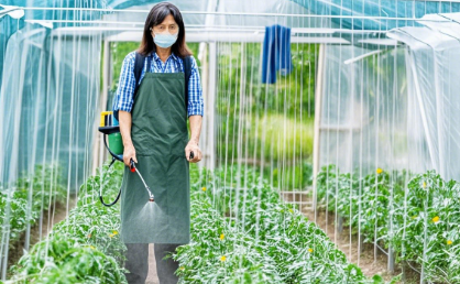 greenhouse