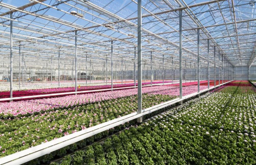 greenhousefarming