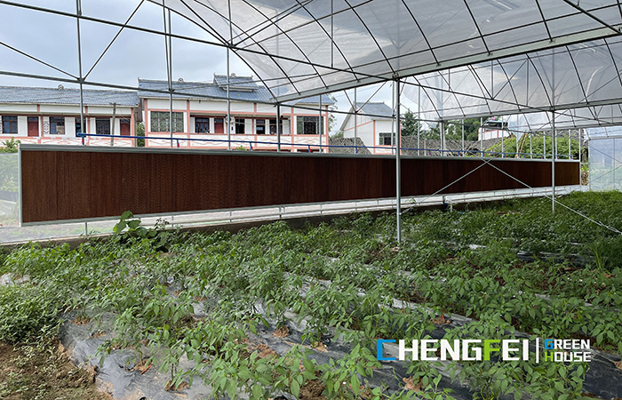 Multi-span-plastic-film-Greenhouse- (I)