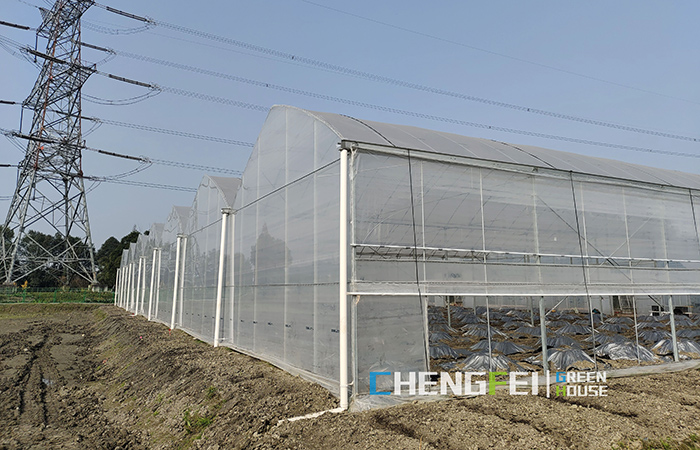 plastic-film-greenhouse