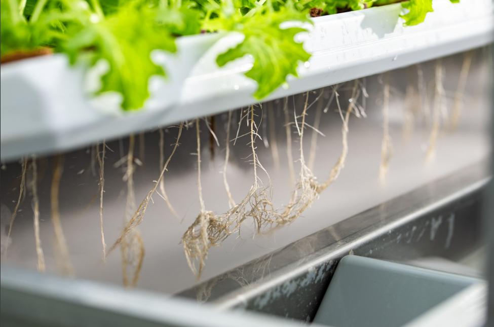smart farming