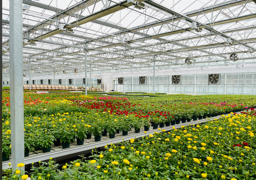 smart greenhouse