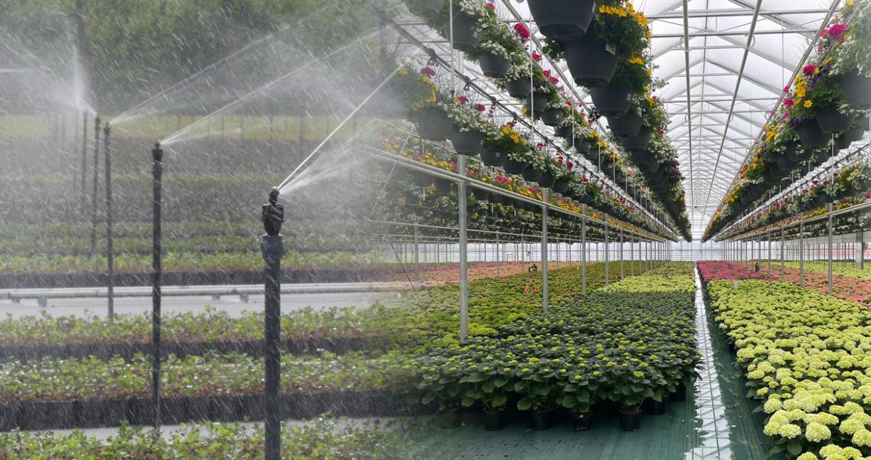 smartgreenhouse