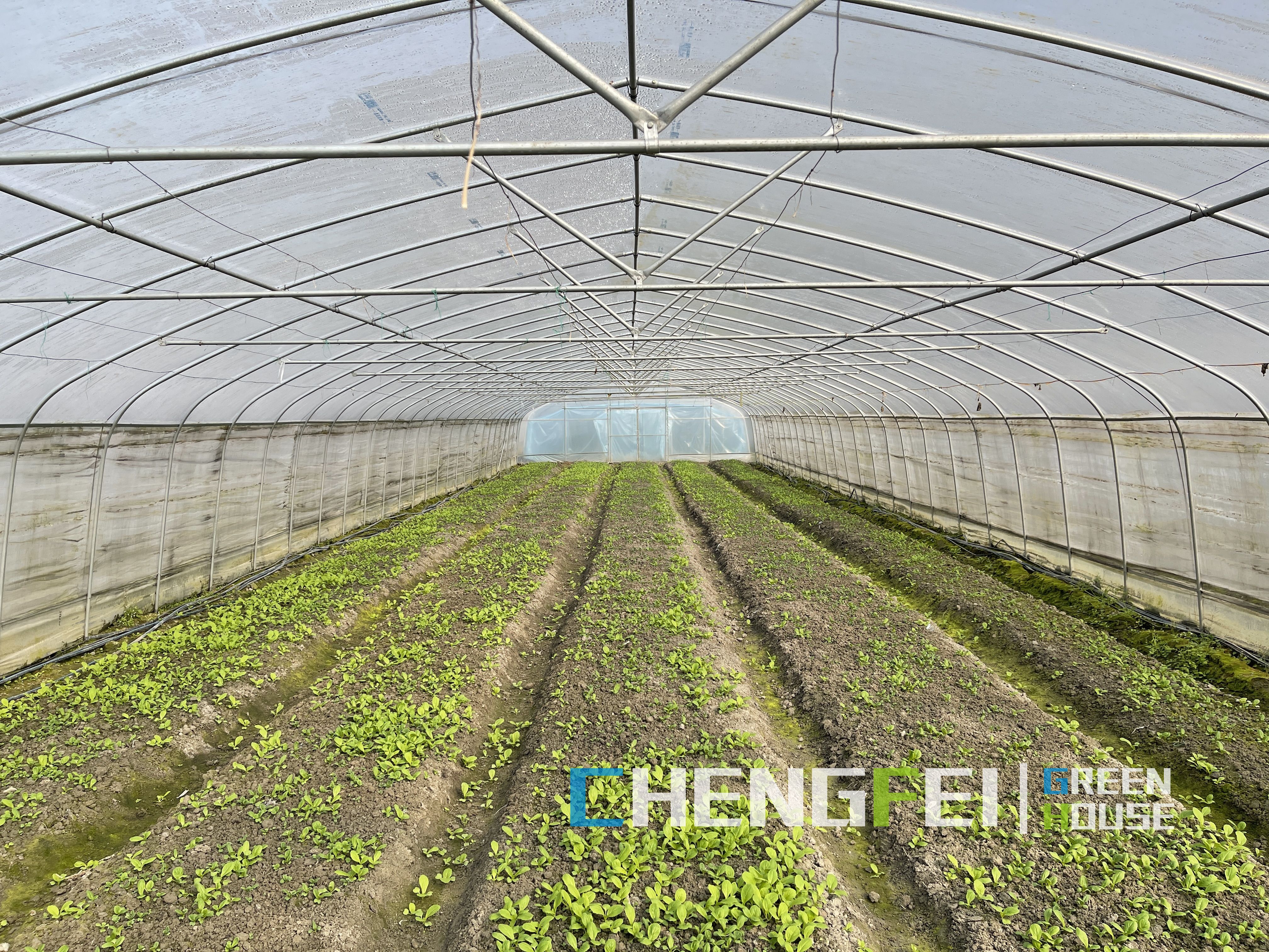 tunelový skleník pro pěstování zeleniny