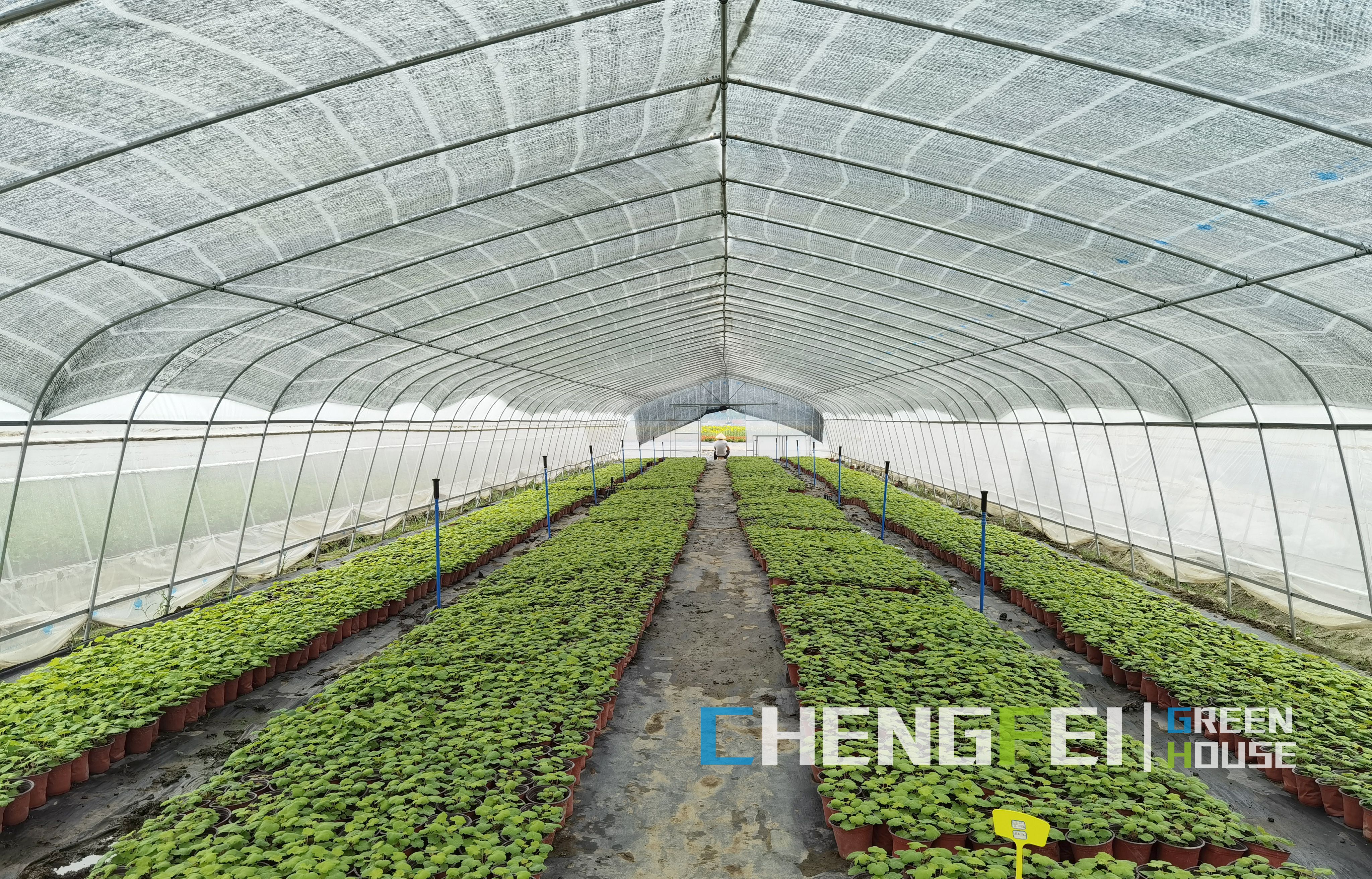 тунелска стаклена градина за зеленчук
