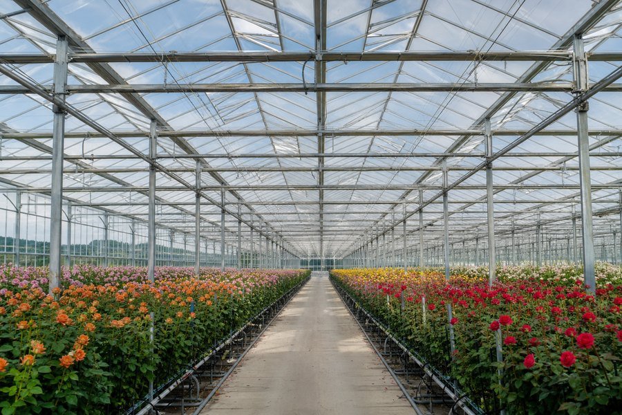 2022 Latest Design Plastic Green House - Commercial glass greenhouse for flowers – Chengfei