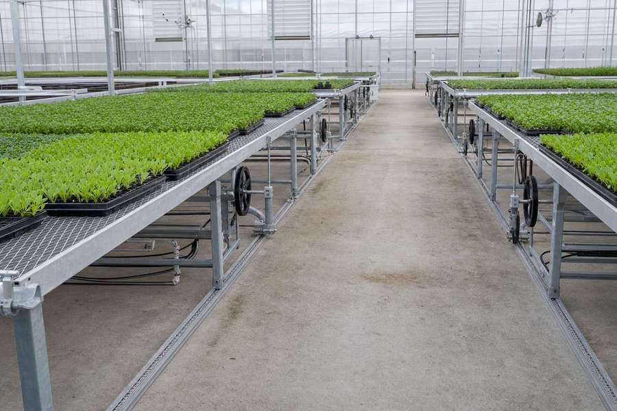 Factory Cheap Hot Rolling Bench - Commercial modular aquaponics system used in greenhouse – Chengfei