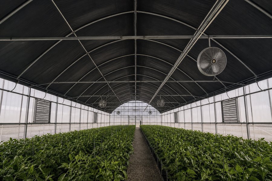 PriceList for Agricultural Green Houses - Single-span greenhouse with blackout system – Chengfei