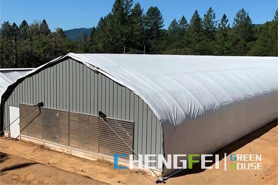 Fast delivery Steel Structue Warm Green House for Vegetable (fruit) Shed