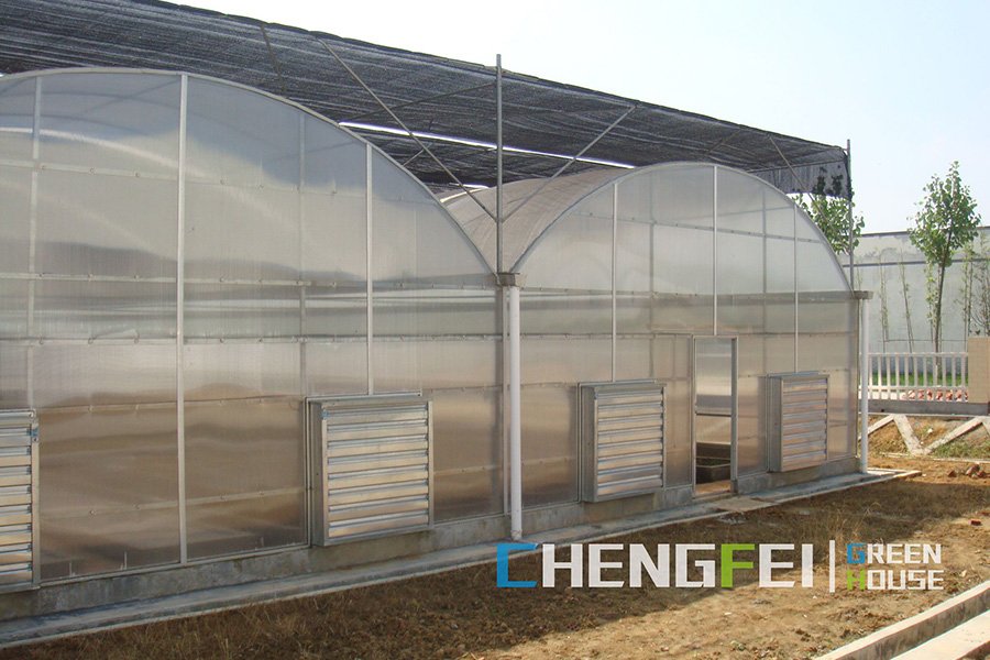 Professional China Popular for Sale Grey Polycarbonate Greenhouse Made by Grace Garden