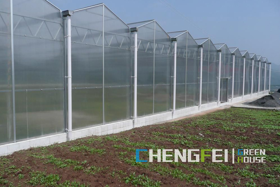 Reasonable price for Modern Multi-Span High Tunnel Plastic Film/ Glass/ Polycarbonate Hydroponnics Greenhouse for Agriculture