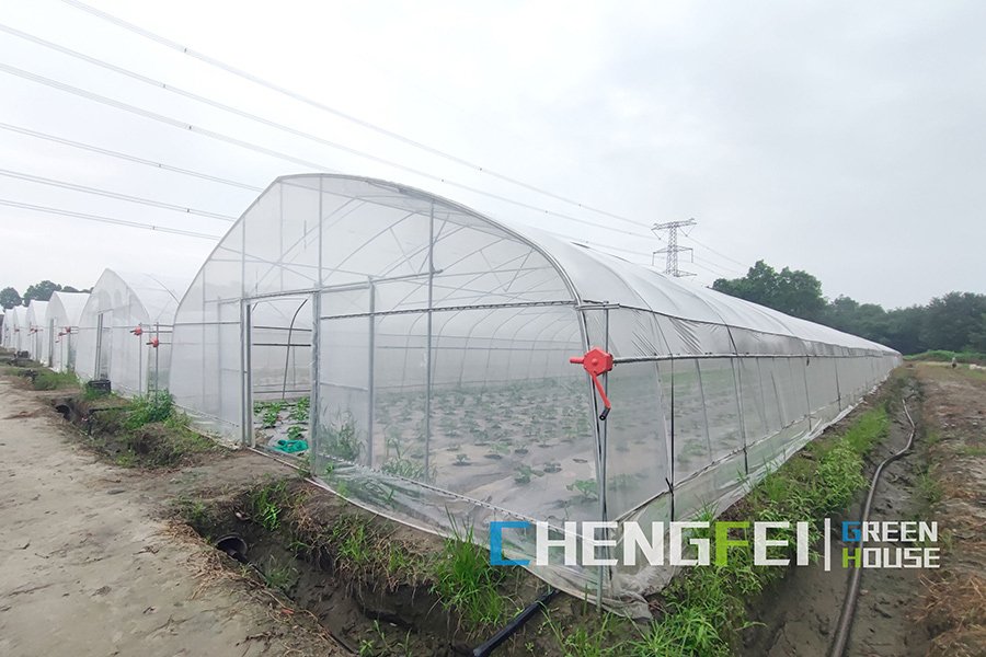 OEM/ODM Factory Commercial Used Tunnel Plastic Film Greenhouse for Strawberry and Tomato