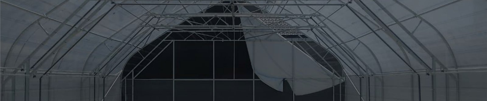 Cannabis-greenhouse-bg