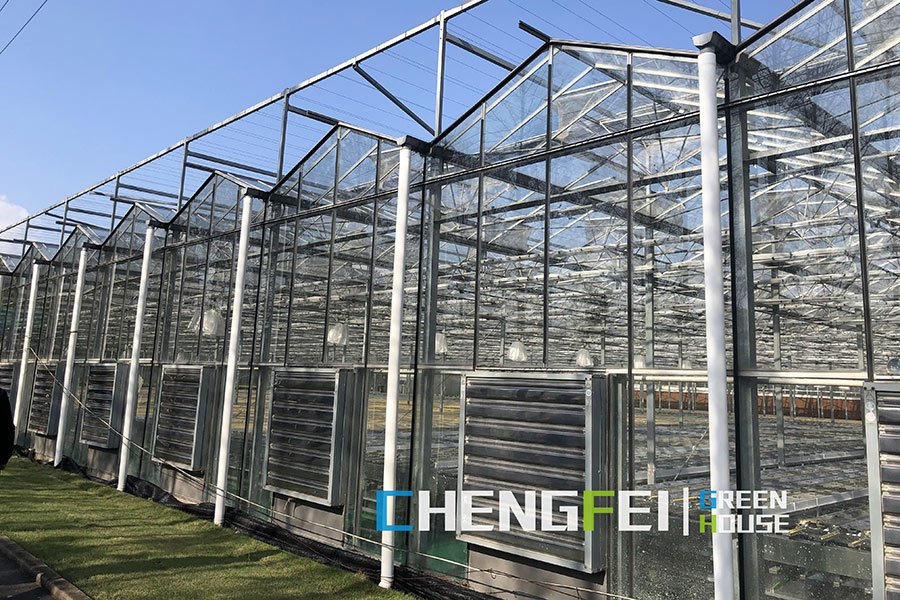 Commercial glass greenhouse for flowers