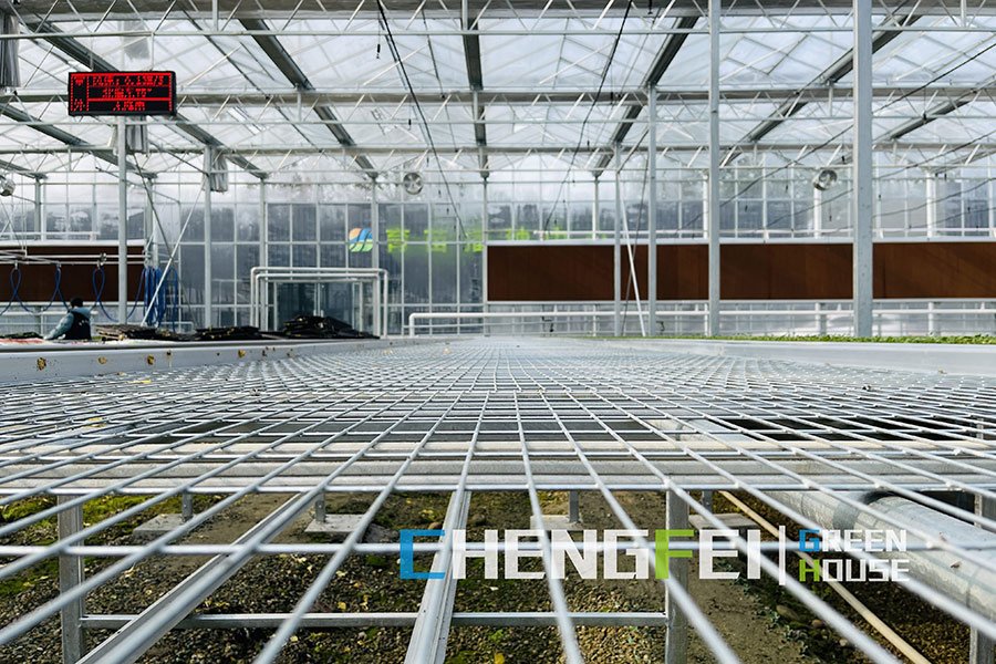 Commercial-greenhouse-rolling-benches-(1)