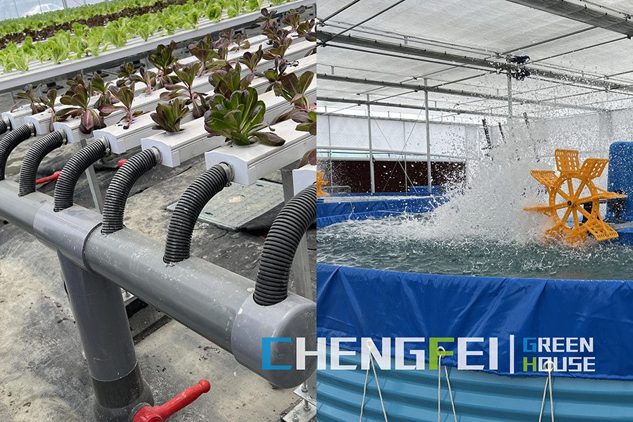 Commercial-modular-aquaponics-system-used-in-greenhouse-(1)