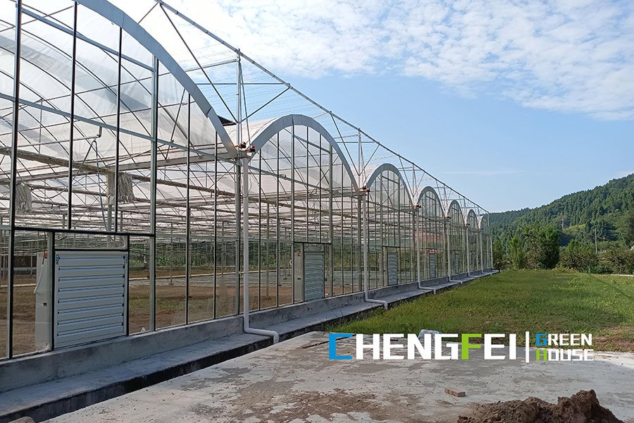 Customized multi-span plastic film greenhouse