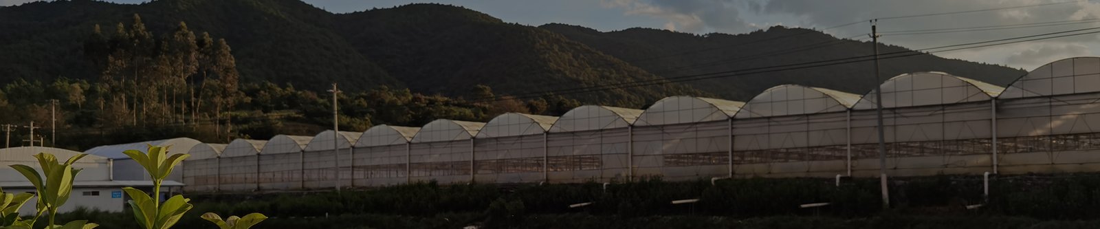 Greenhouse-Accessorie