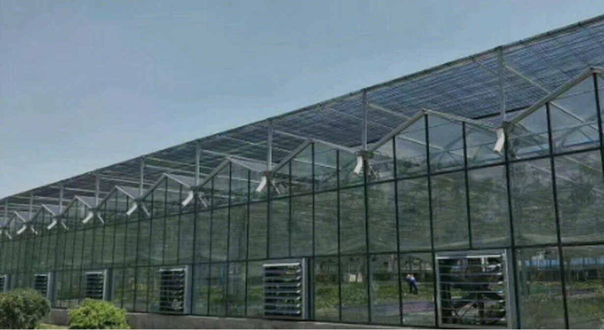 Smart & Sustainable: Chinese Innovation in High-Efficiency Greenhouses