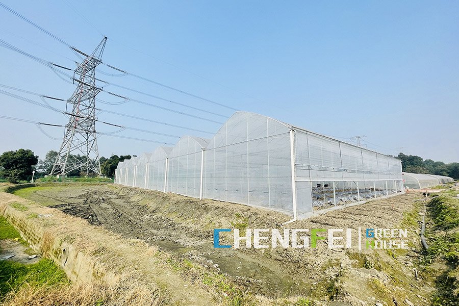 Multi-span plastic film greenhouse with ventilation system