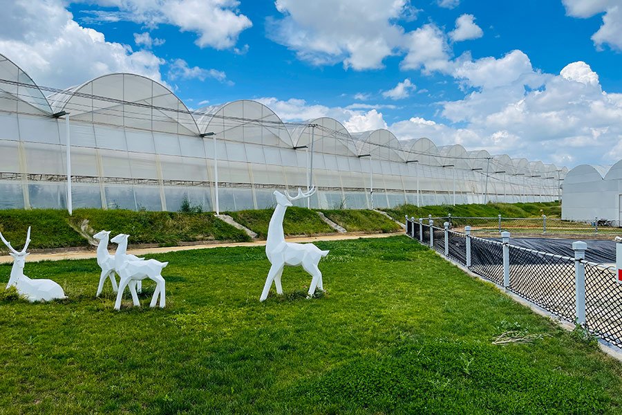 Plastic flower greenhouse with ventilation system