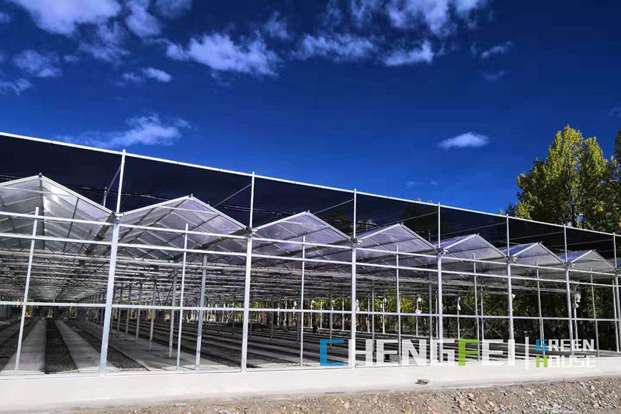 Multi-span corrugated polycarbonate greenhouse