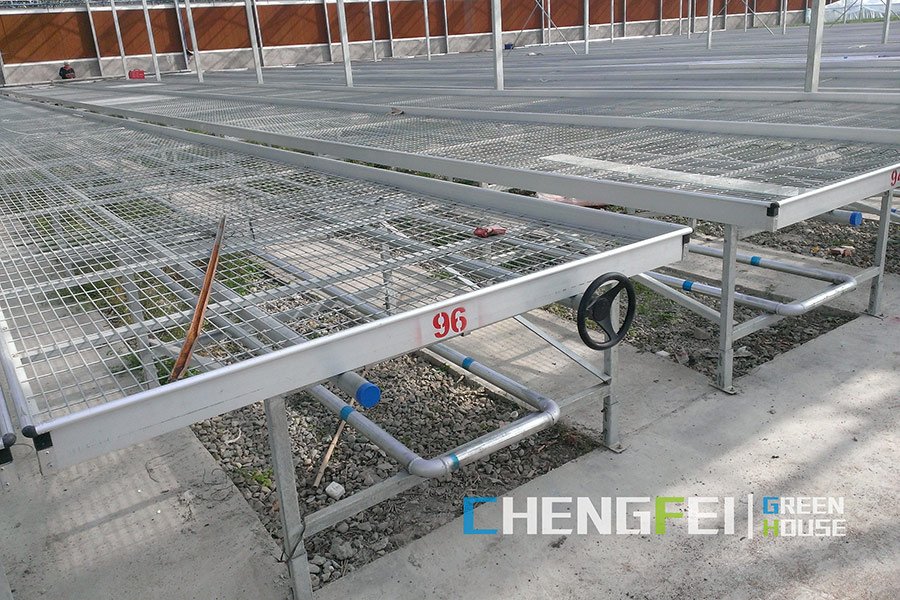 Rolling bench grow tables for greenhouse uses