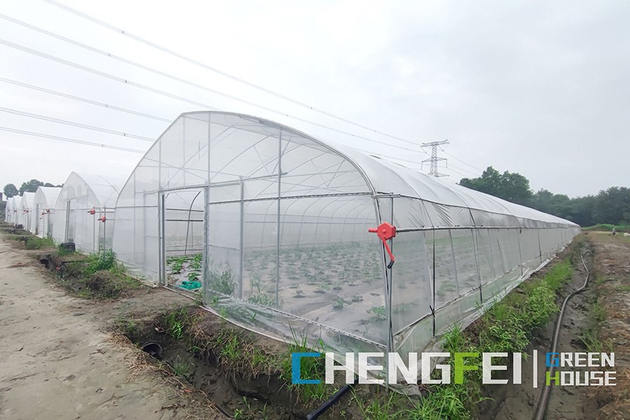 Tunnel greenhouses with hot-dip galvanized structure