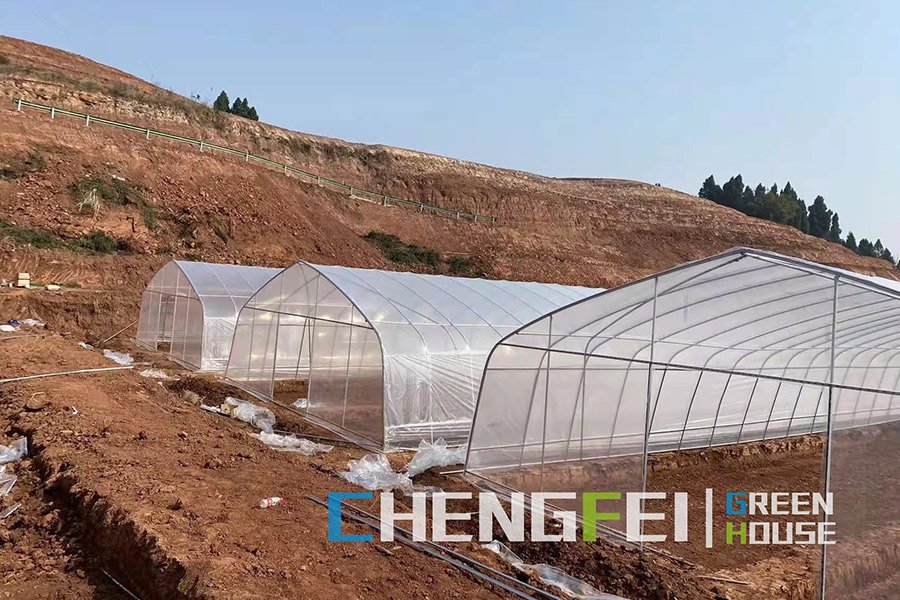 Single-span plastic greenhouse price
