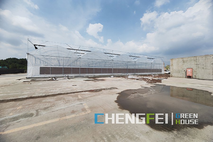 Smart multi-span plastic film greenhouse