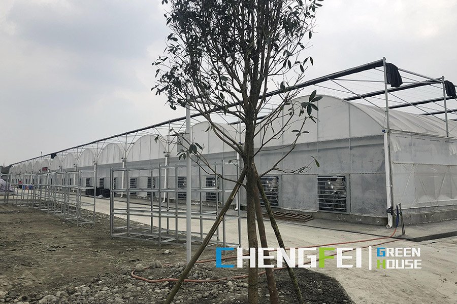 Specialty multi-span plastic film greenhouse