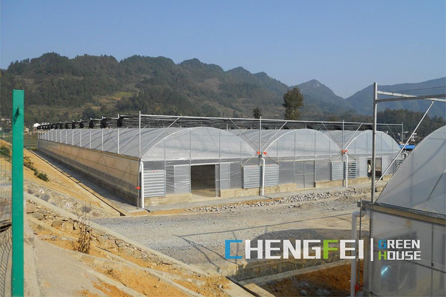Vegetable film greenhouse with ventilation system