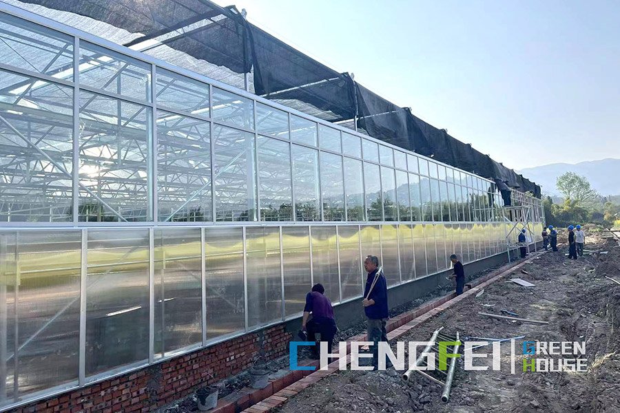 Venlo multi-span commercial glass greenhouse