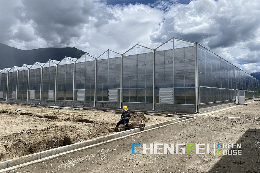 Venlo vegetable large polycarbonate greenhouse