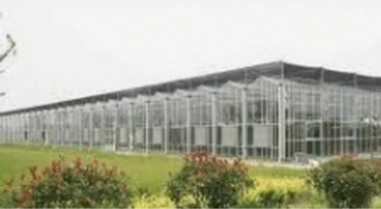 GreenhouseInvestment