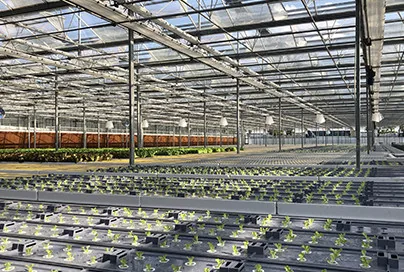 Teaching& Experience Greenhouse for Sichuan University