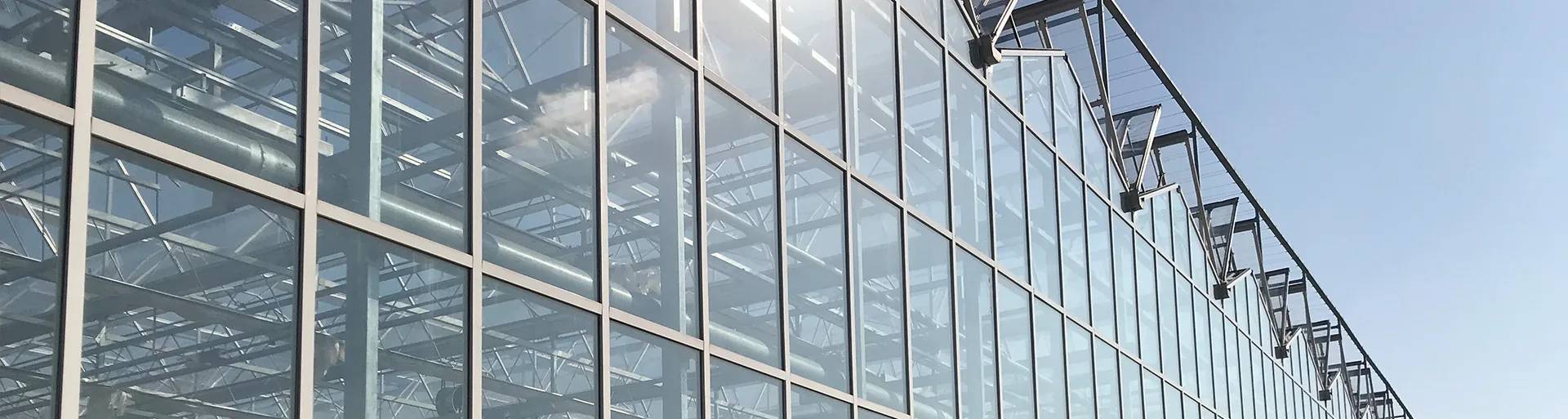 Save Your Time and Money in Greenhouse Project