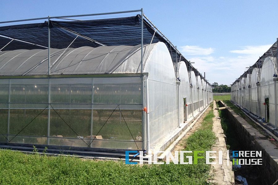 Commercial film greenhouse with ventilation and shading systems