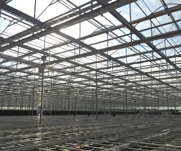 Interior view of commercial glass greenhouse structure