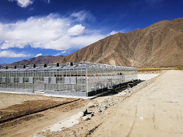 Commercial glass greenhouse project illustrating structural and site cost factors