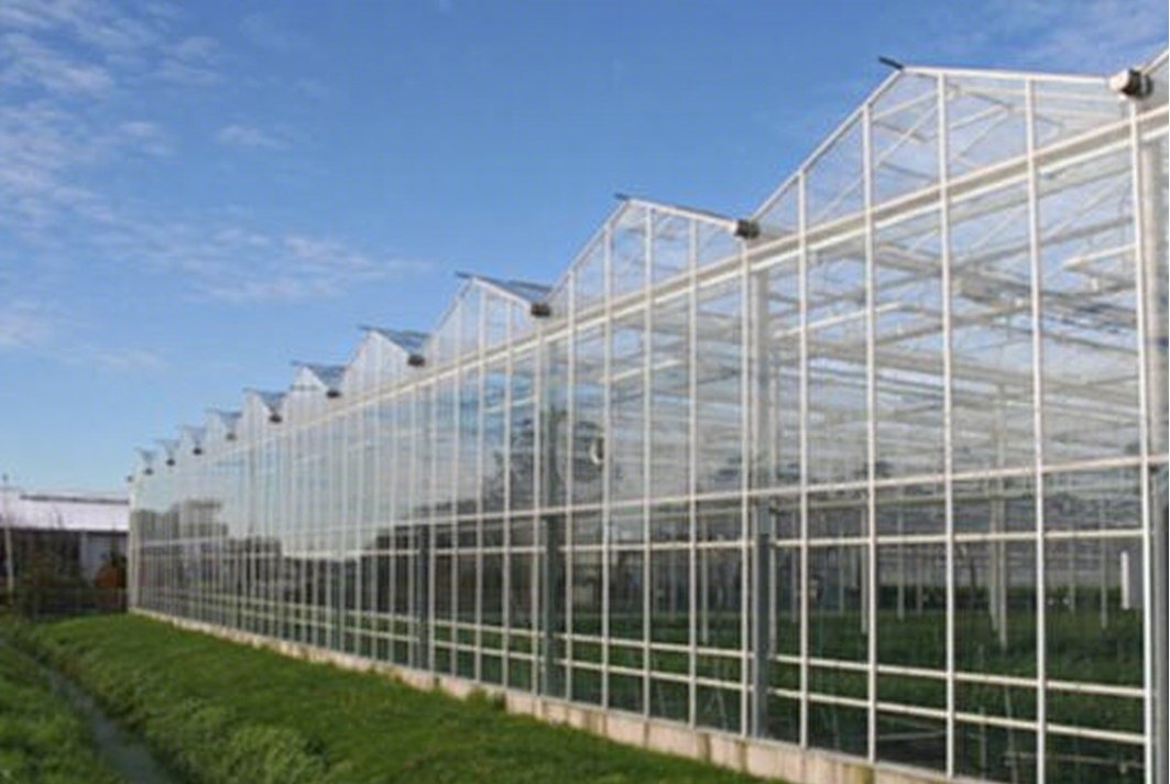 Commercial polycarbonate greenhouse exterior used to explain rigid transparent greenhouse glazing