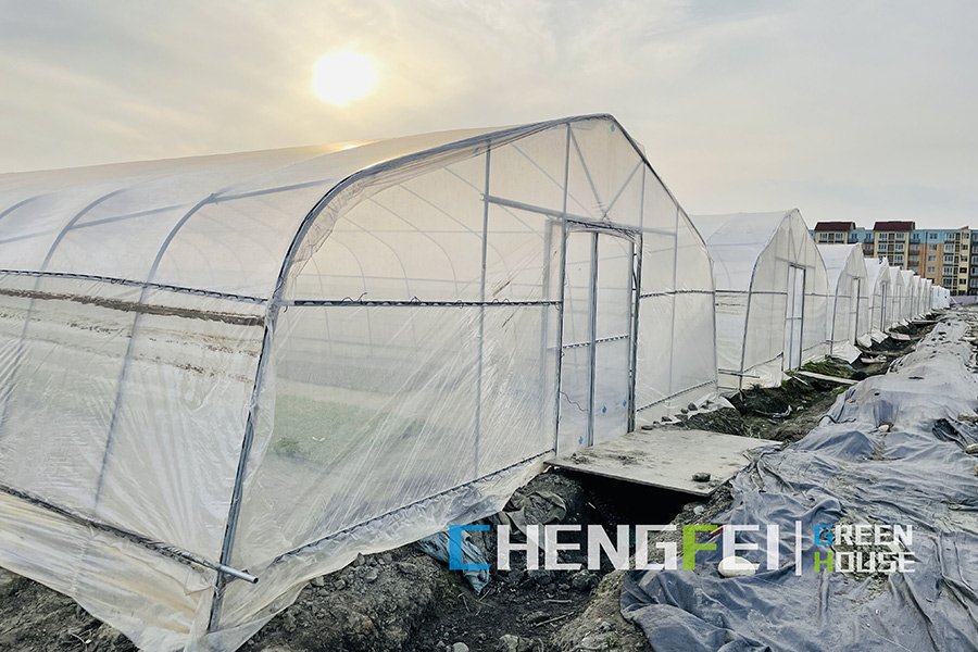 Galvanized tunnel greenhouse frame prepared for film covering