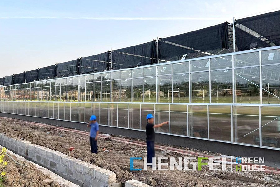 Venlo multi-span commercial glass greenhouse structure