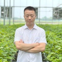 Jiang Feng, Technical Director at Chengfei Greenhouse (CFGET)