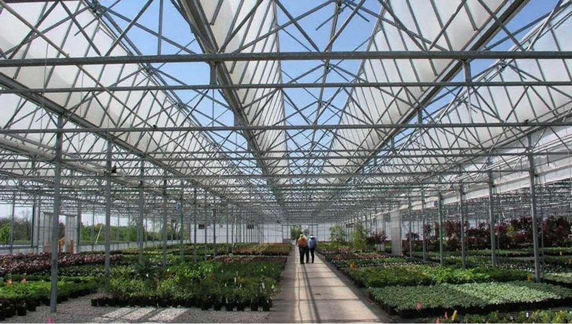 Existing commercial greenhouse interior used to review night heating zones and system interfaces