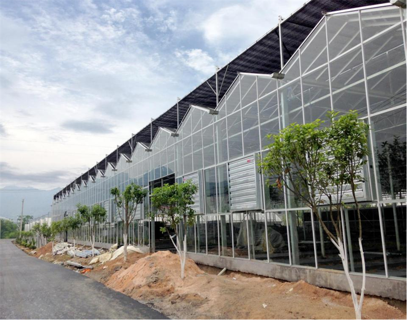 Existing CFGET commercial glass greenhouse project with roof shade, vents and framed glazing